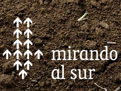 Mirando al Sur