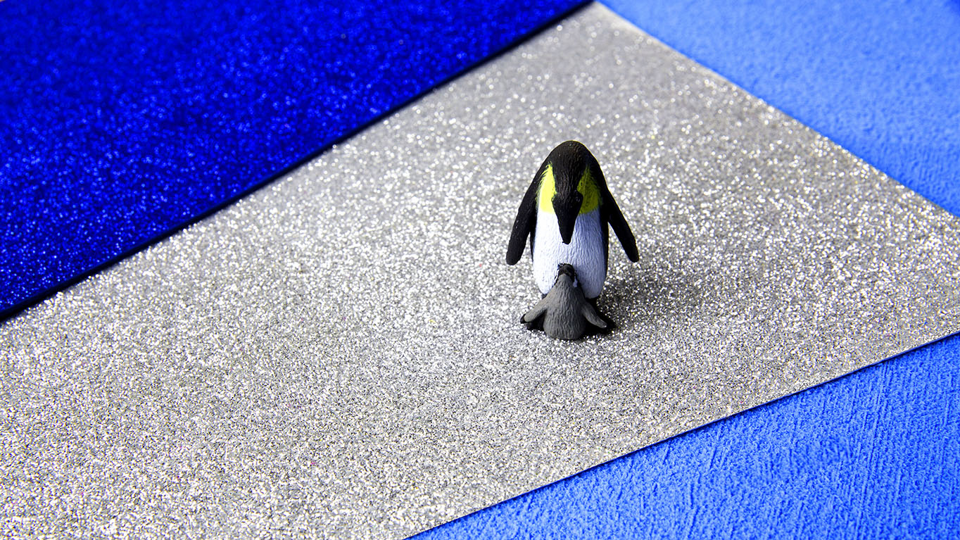 Diversidad. Sara Mata