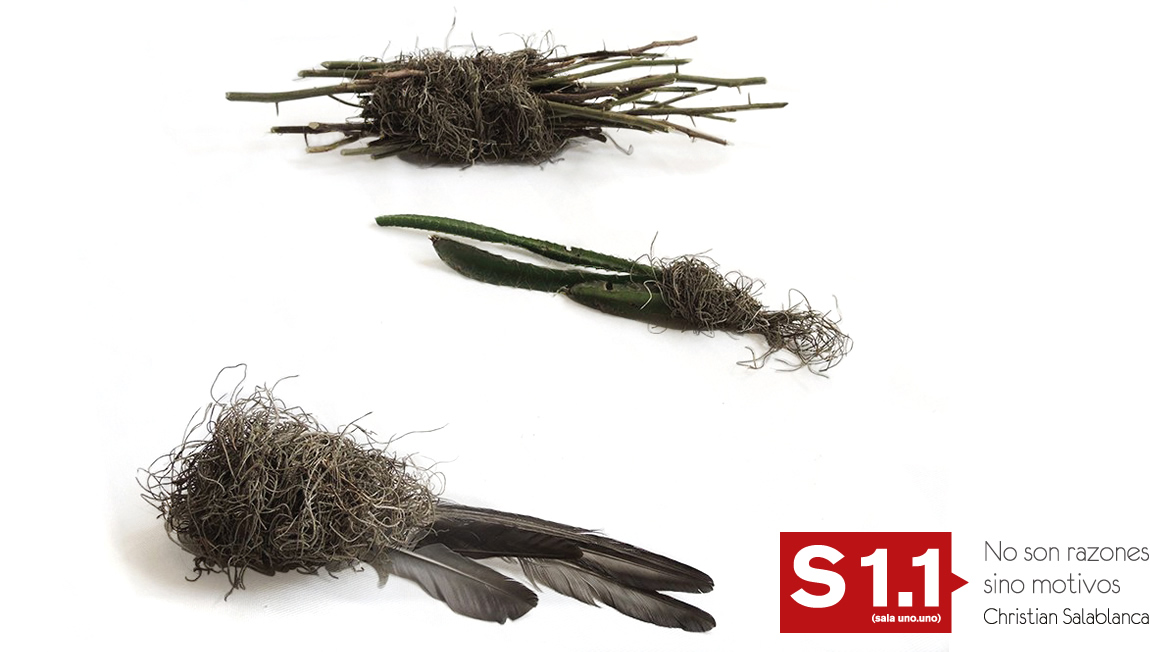 Sala 1.1: No son razones sino motivos. Christian Salablanca