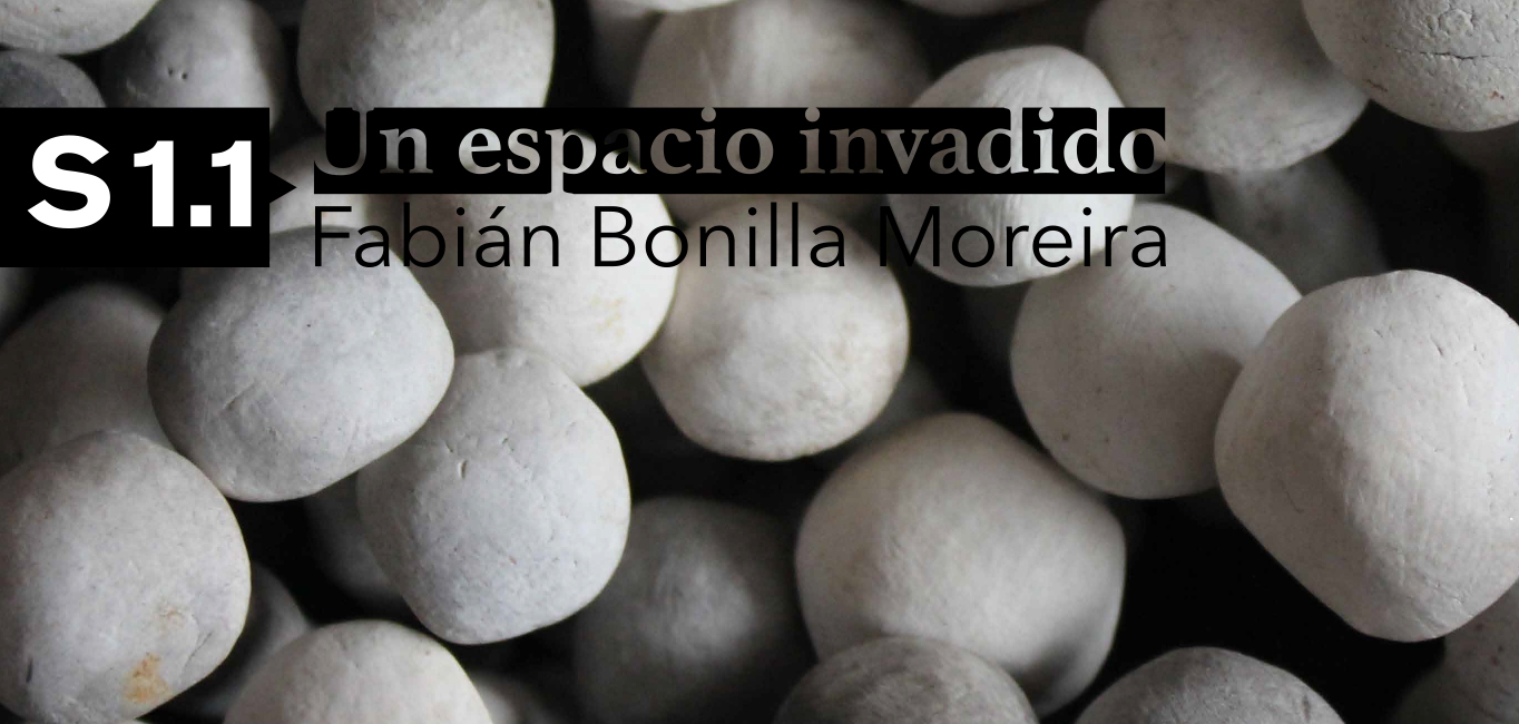 Un espacio invadido. Fabián Bonilla.