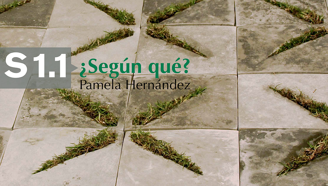 ¿Según qué? Pamela Hernández
