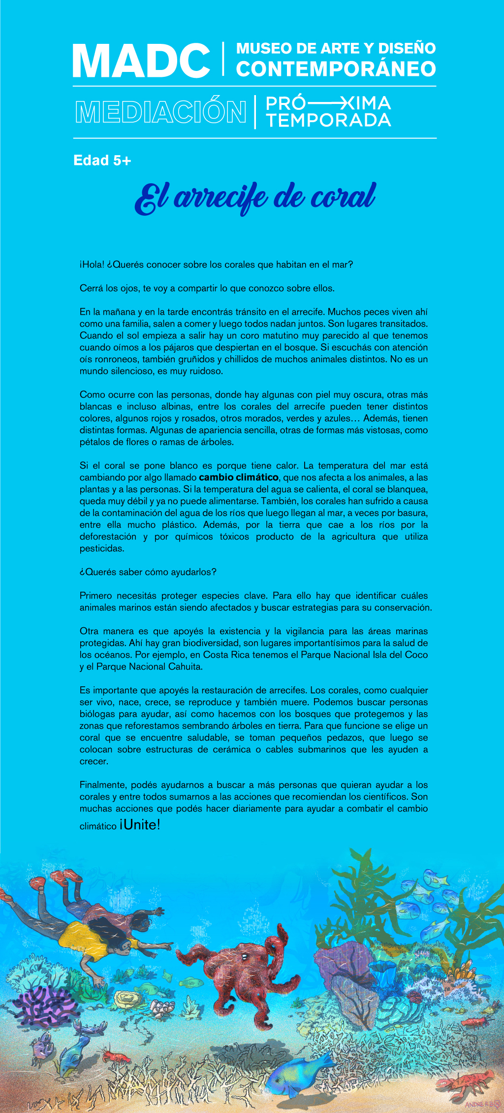 El arrecife de coral