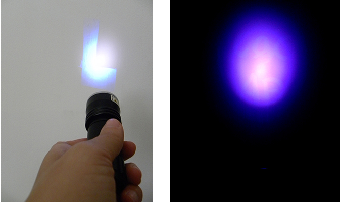 Migra acciones. Eugenia S. Rudin