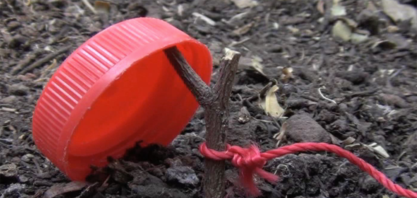 Destinos Posibles. Luis Gárciga