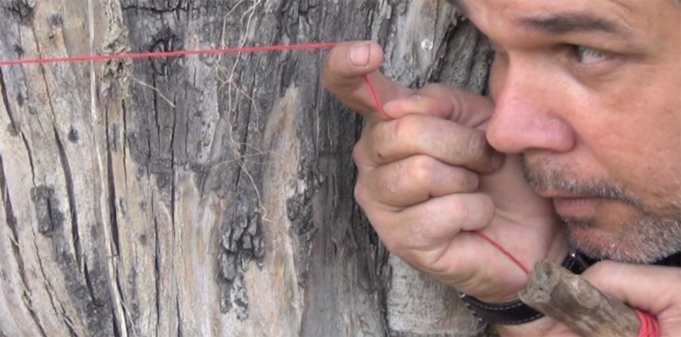 Destinos Posibles. Luis Gárciga