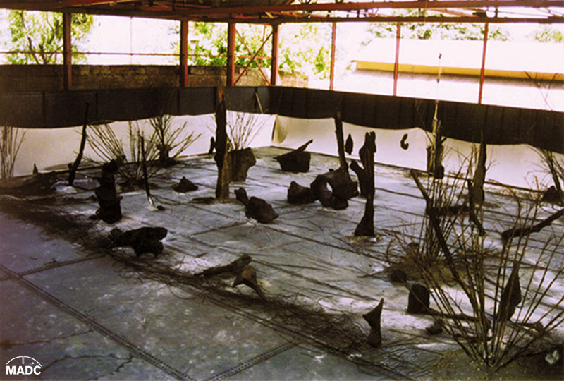 Pila de la Melaza-APUY