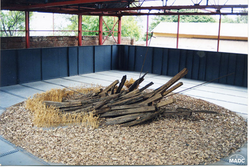 Ottón Solís. “Pasión”