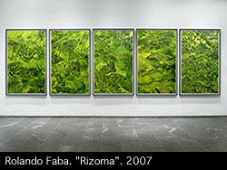 Mirando al Sur. Rolando Faba