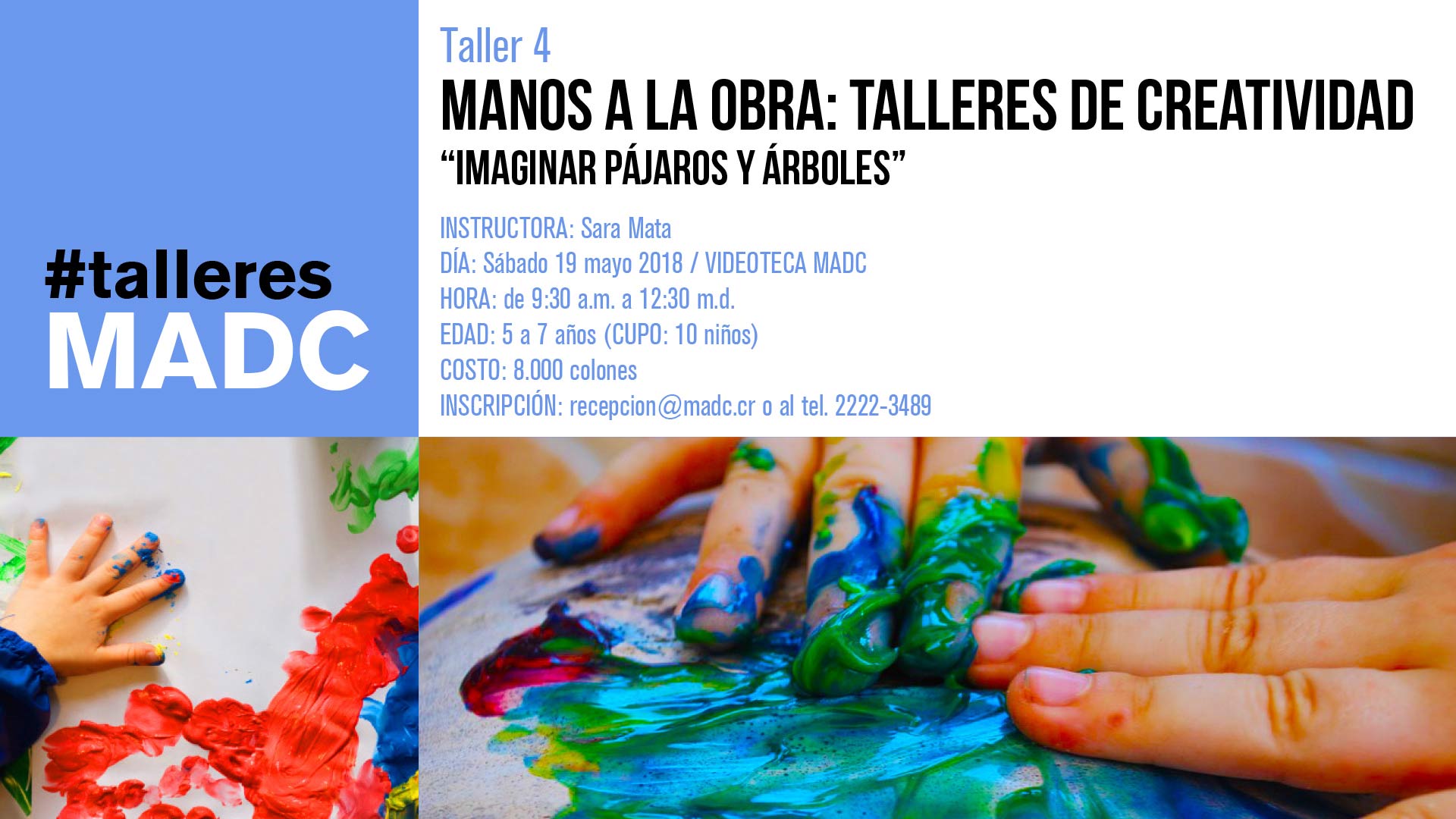 Taller 4 - Imaginar pájaros y árboles