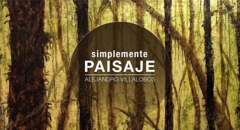Simplemente paisaje de Alejandro Villalobos