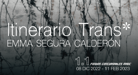 Itinerario Trans*