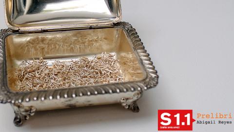 Prelibri. Abigail Reyes. Sala 1.1