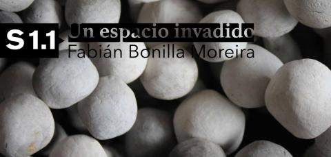 Un espacio invadido. Fabián Bonilla.