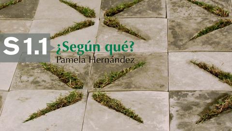 ¿Según qué? Pamela Hernández